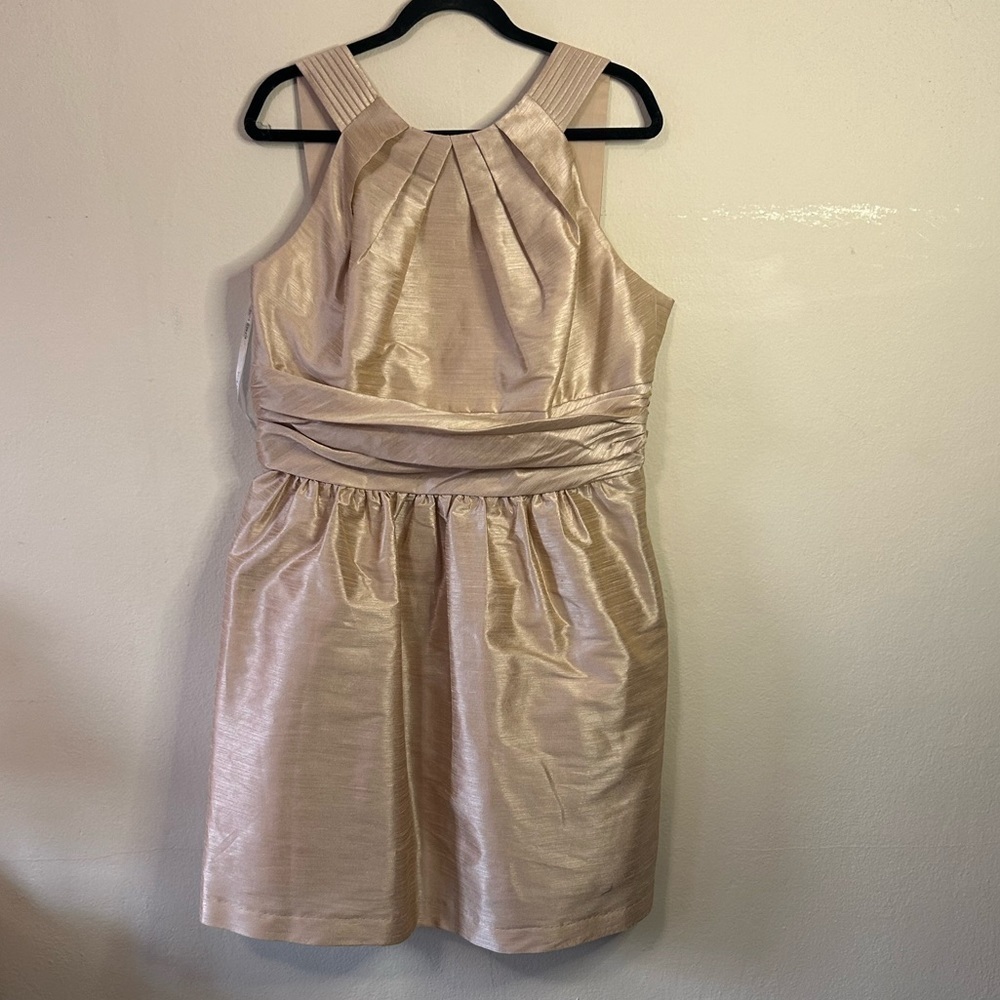 Alfred Sung Pearl Pink D492 Cocktail Dress